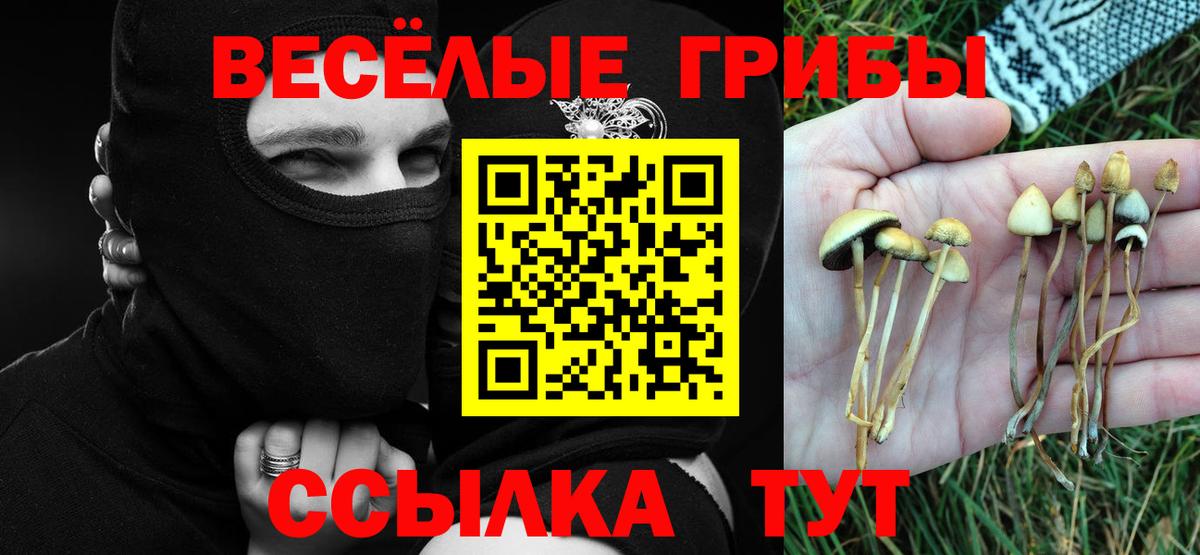 Галлюциногенные грибы Cubensis Ахтубинск