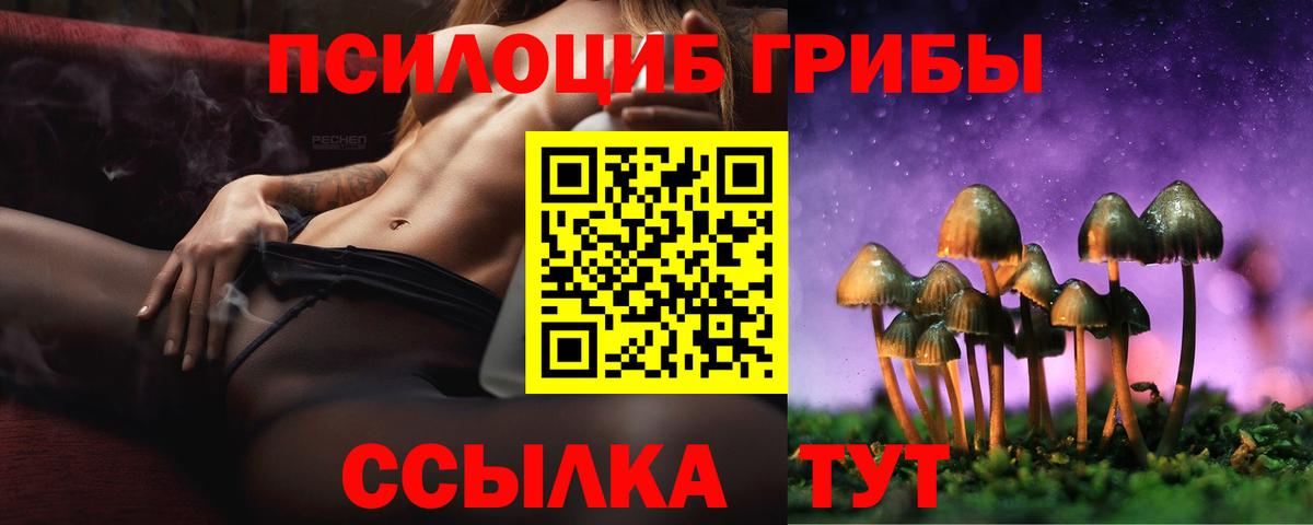 Ахтубинск  Галлюциногенные грибы ЛСД  где купить наркотик  Вход с VPN  Галлюциногенные грибы Psilocybe 